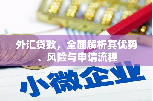 常熟外汇贷款，全面解析其优势、风险与申请流程