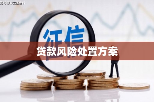 常熟贷款风险处置方案