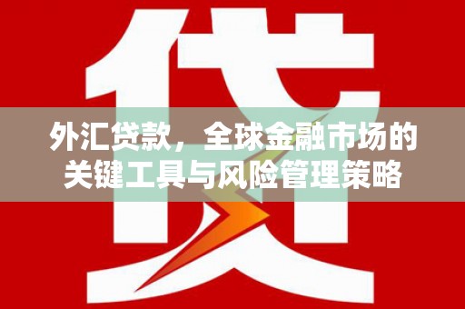 常熟外汇贷款，全球金融市场的关键工具与风险管理策略